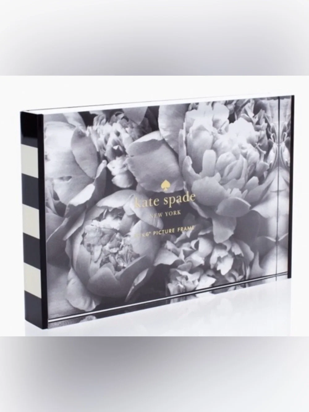 kate spade New York Frame 4x6 Acrylic Picture Frame **NIB**